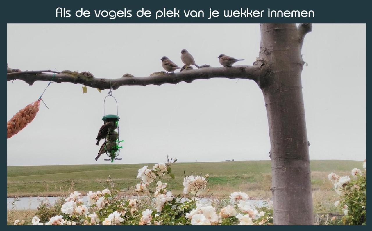 Ellewoutsdijk Vakantiewoning Deltahof מראה חיצוני תמונה
