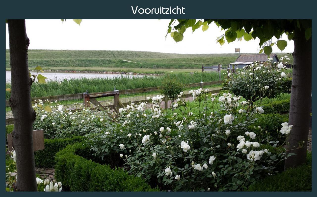 Ellewoutsdijk Vakantiewoning Deltahof מראה חיצוני תמונה