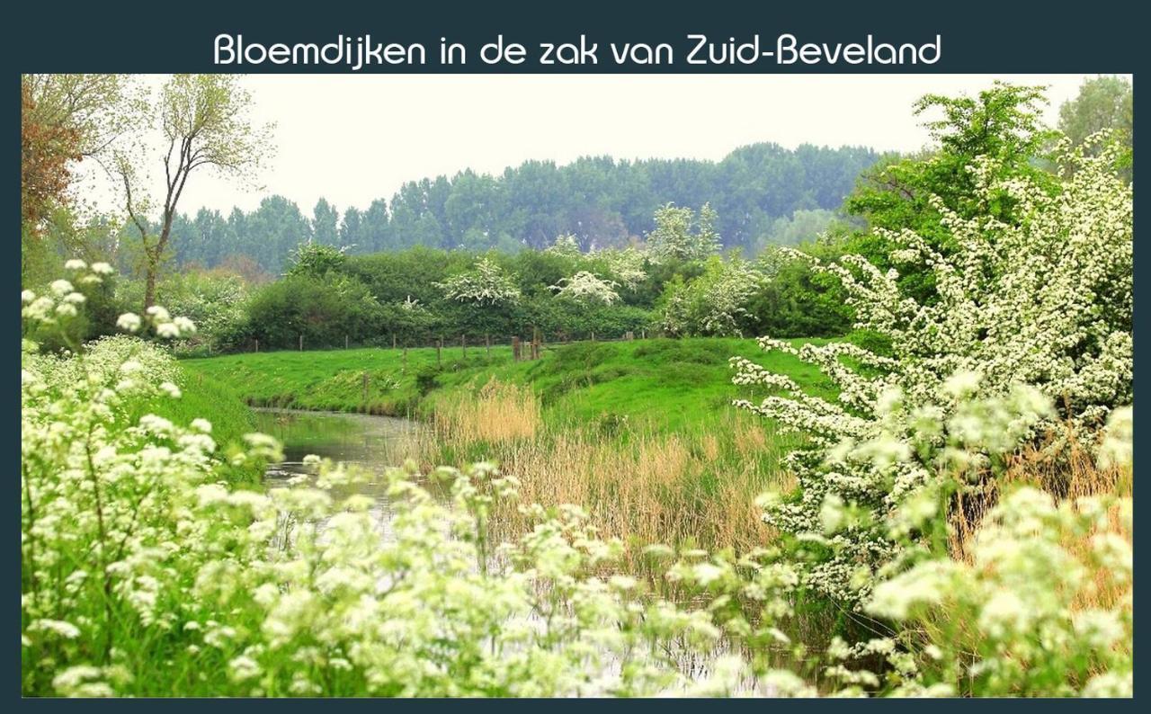 Ellewoutsdijk Vakantiewoning Deltahof מראה חיצוני תמונה