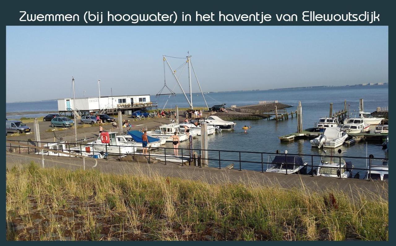 Ellewoutsdijk Vakantiewoning Deltahof מראה חיצוני תמונה