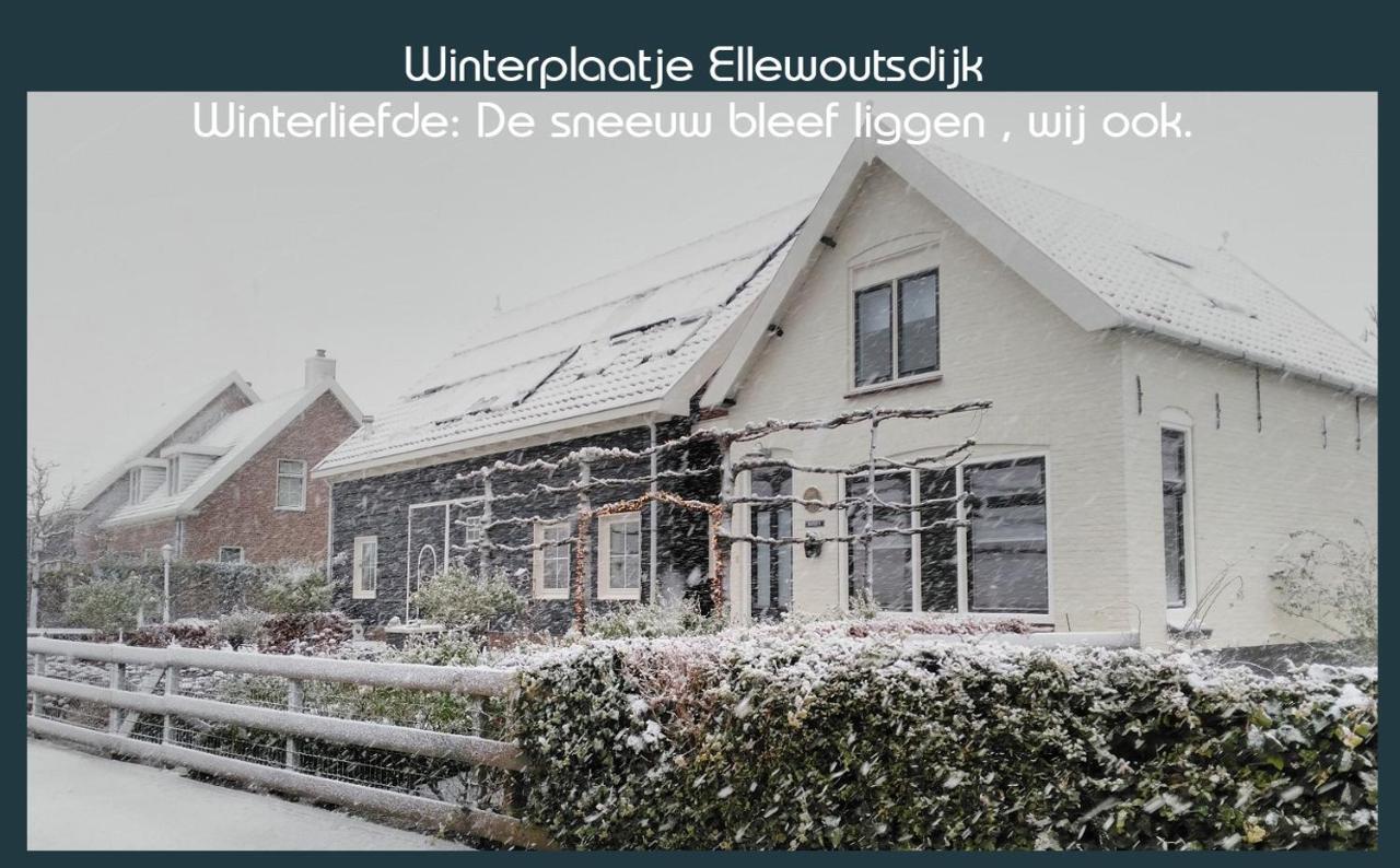Ellewoutsdijk Vakantiewoning Deltahof מראה חיצוני תמונה
